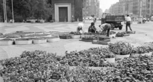 Plac Mickiewicza - wrzesień 1974  Foto: Stanisław Wiktor / Cyryl