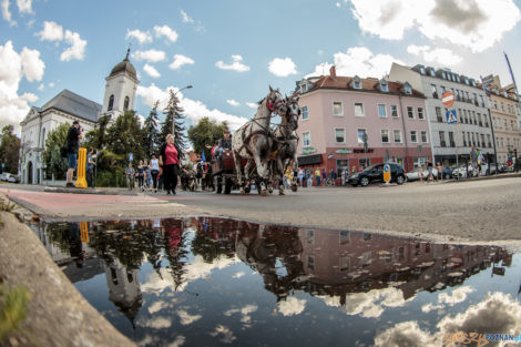 Święto Bamberskie 2021  Foto: lepszyPOZNAN.pl/Ewelina Jaśkowiak