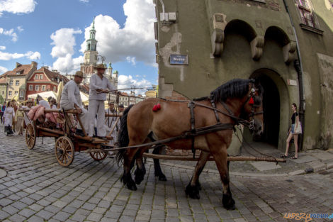 Święto Bamberskie 2021  Foto: lepszyPOZNAN.pl/Ewelina Jaśkowiak