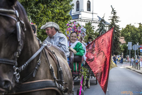 Święto Bamberskie 2021  Foto: lepszyPOZNAN.pl/Ewelina Jaśkowiak