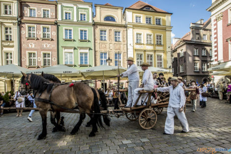 Święto Bamberskie 2021  Foto: lepszyPOZNAN.pl/Ewelina Jaśkowiak