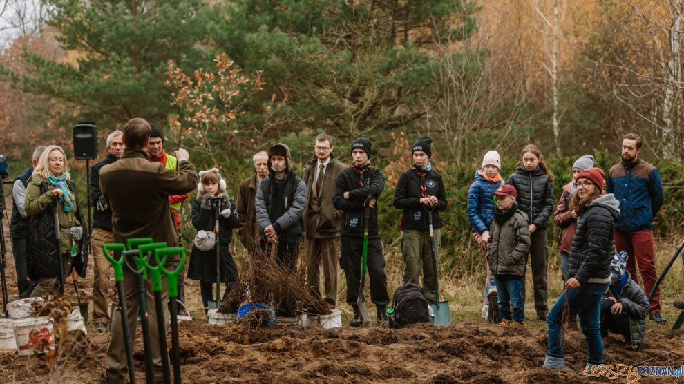 Będzie las w Krzyżownikach  Foto: UM Poznania