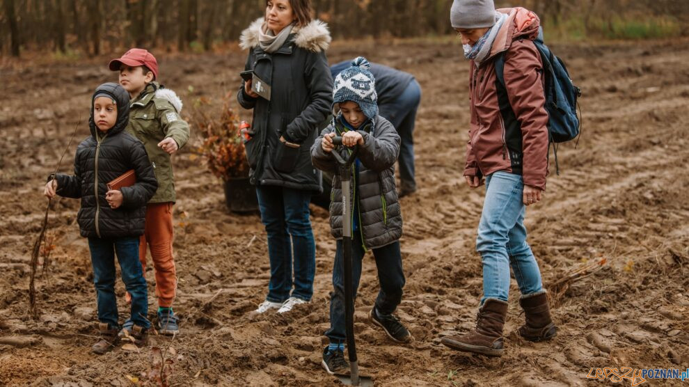 Będzie las w Krzyżownikach  Foto: UM Poznania