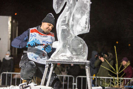 XV Poznań Ice Festival 2021: konkurs rzeźby małej - Arena, Po  Foto: Paweł Rychter