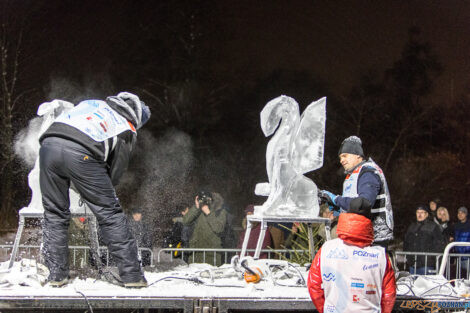 XV Poznań Ice Festival 2021: konkurs rzeźby małej - Arena, Po  Foto: Paweł Rychter