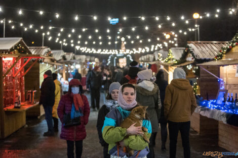 XV Poznań Ice Festival 2021: konkurs rzeźby małej - Arena, Po  Foto: Paweł Rychter