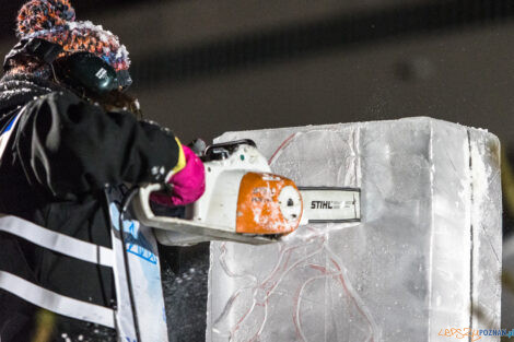 XV Poznań Ice Festival 2021: konkurs rzeźby małej - Arena, Po  Foto: Paweł Rychter