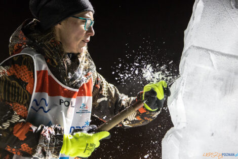 XV Poznań Ice Festival 2021: konkurs rzeźby małej - Arena, Po  Foto: Paweł Rychter