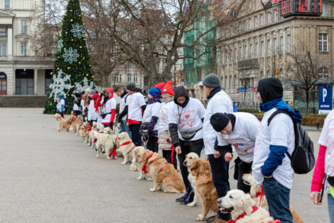 30. finał WOŚP- Goldeny  Foto: lepszyPOZNAN.pl/Piotr Rychter