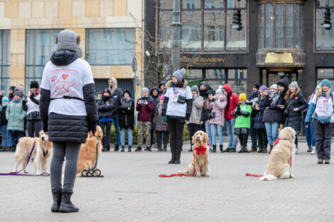 30. finał WOŚP- Goldeny  Foto: lepszyPOZNAN.pl/Piotr Rychter