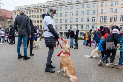 30. finał WOŚP- Goldeny  Foto: lepszyPOZNAN.pl/Piotr Rychter