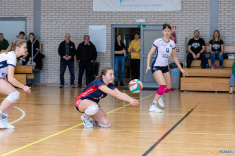 Półfinał Mistrzostw Polski Juniorek - Enea Energetyk Poznań  Foto: lepszyPOZNAN.pl/Piotr Rychter