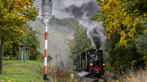 Maltanka  Foto: Konrad Czapracki/lepszyPoznan.pl