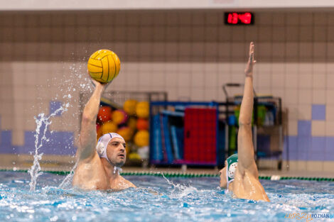 KS Waterpolo Poznań - AZS UW Waterpolo  Foto: lepszyPOZNAN.pl/Piotr Rychter