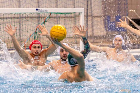 KS Waterpolo Poznań - AZS UW Waterpolo  Foto: lepszyPOZNAN.pl/Piotr Rychter