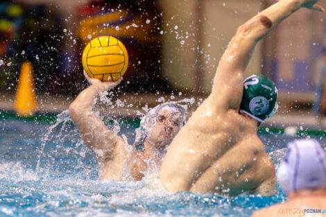 KS Waterpolo Poznań - AZS UW Waterpolo  Foto: lepszyPOZNAN.pl/Piotr Rychter