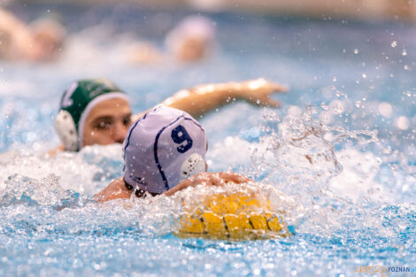 KS Waterpolo Poznań - AZS UW Waterpolo  Foto: lepszyPOZNAN.pl/Piotr Rychter