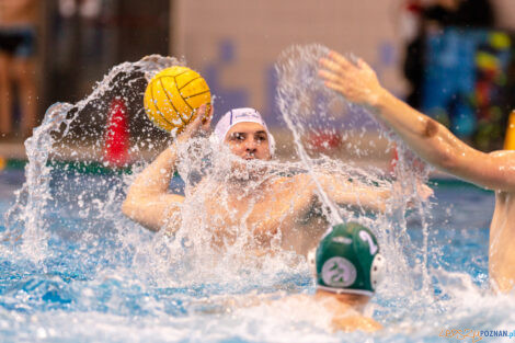 KS Waterpolo Poznań - AZS UW Waterpolo  Foto: lepszyPOZNAN.pl/Piotr Rychter