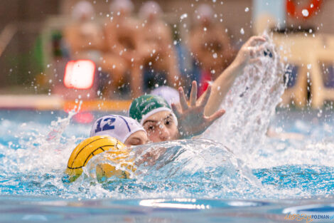 KS Waterpolo Poznań - AZS UW Waterpolo  Foto: lepszyPOZNAN.pl/Piotr Rychter