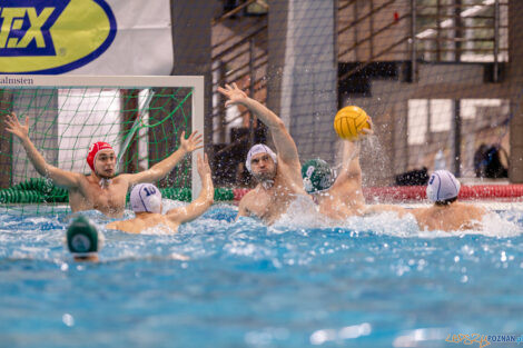 KS Waterpolo Poznań - AZS UW Waterpolo  Foto: lepszyPOZNAN.pl/Piotr Rychter