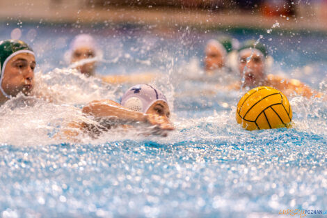 KS Waterpolo Poznań - AZS UW Waterpolo  Foto: lepszyPOZNAN.pl/Piotr Rychter