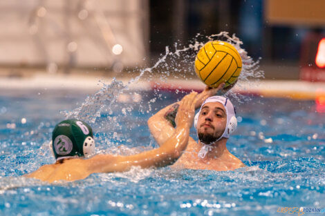 KS Waterpolo Poznań - AZS UW Waterpolo  Foto: lepszyPOZNAN.pl/Piotr Rychter