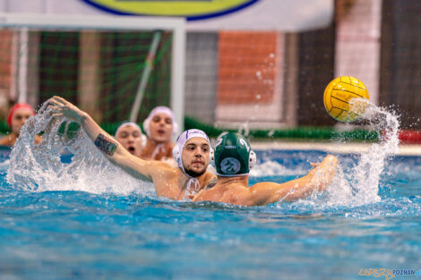 KS Waterpolo Poznań - AZS UW Waterpolo  Foto: lepszyPOZNAN.pl/Piotr Rychter