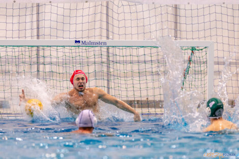 KS Waterpolo Poznań - AZS UW Waterpolo  Foto: lepszyPOZNAN.pl/Piotr Rychter