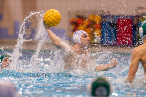 KS Waterpolo Poznań - AZS UW Waterpolo  Foto: lepszyPOZNAN.pl/Piotr Rychter