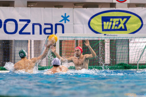 KS Waterpolo Poznań - AZS UW Waterpolo  Foto: lepszyPOZNAN.pl/Piotr Rychter