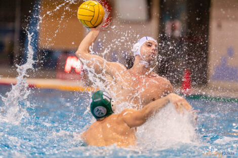 KS Waterpolo Poznań - AZS UW Waterpolo  Foto: lepszyPOZNAN.pl/Piotr Rychter