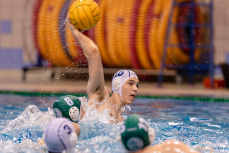 KS Waterpolo Poznań - AZS UW Waterpolo  Foto: lepszyPOZNAN.pl/Piotr Rychter