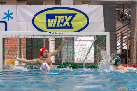 KS Waterpolo Poznań - AZS UW Waterpolo  Foto: lepszyPOZNAN.pl/Piotr Rychter