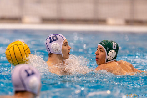 KS Waterpolo Poznań - AZS UW Waterpolo  Foto: lepszyPOZNAN.pl/Piotr Rychter