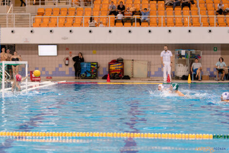 KS Waterpolo Poznań - AZS UW Waterpolo  Foto: lepszyPOZNAN.pl/Piotr Rychter