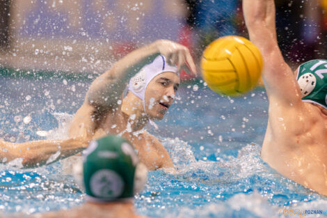 KS Waterpolo Poznań - AZS UW Waterpolo  Foto: lepszyPOZNAN.pl/Piotr Rychter