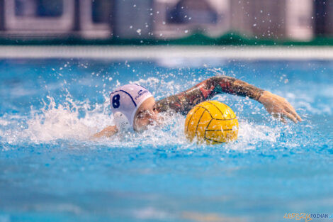 KS Waterpolo Poznań - AZS UW Waterpolo  Foto: lepszyPOZNAN.pl/Piotr Rychter