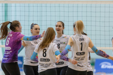 Enea Energetyk Poznań - Silesia Volley Mysłowice  Foto: lepszyPOZNAN.pl/Piotr Rychter