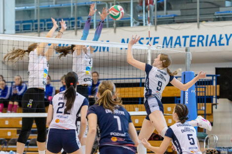 Enea Energetyk Poznań - Silesia Volley Mysłowice  Foto: lepszyPOZNAN.pl/Piotr Rychter