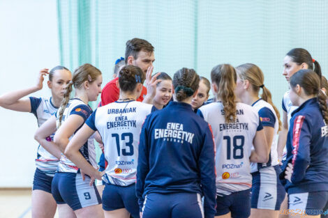 Enea Energetyk Poznań - Silesia Volley Mysłowice  Foto: lepszyPOZNAN.pl/Piotr Rychter