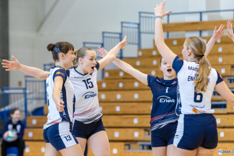 Enea Energetyk Poznań - Silesia Volley Mysłowice  Foto: lepszyPOZNAN.pl/Piotr Rychter