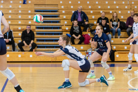 Enea Energetyk Poznań - Silesia Volley Mysłowice  Foto: lepszyPOZNAN.pl/Piotr Rychter