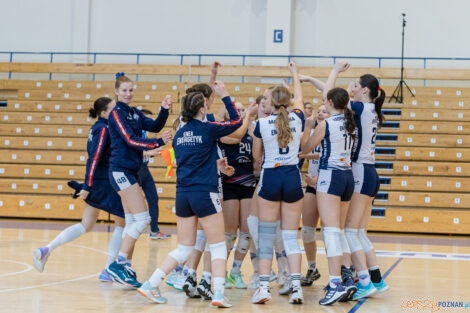 Enea Energetyk Poznań - Silesia Volley Mysłowice  Foto: lepszyPOZNAN.pl/Piotr Rychter