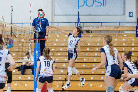 Enea Energetyk Poznań - Silesia Volley Mysłowice  Foto: lepszyPOZNAN.pl/Piotr Rychter