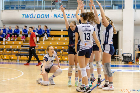 Enea Energetyk Poznań - Silesia Volley Mysłowice  Foto: lepszyPOZNAN.pl/Piotr Rychter