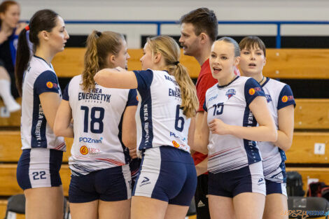 Enea Energetyk Poznań - Silesia Volley Mysłowice  Foto: lepszyPOZNAN.pl/Piotr Rychter