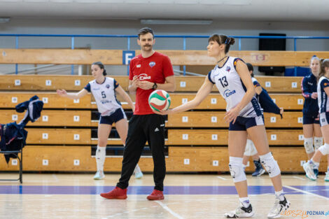 Enea Energetyk Poznań - Silesia Volley Mysłowice  Foto: lepszyPOZNAN.pl/Piotr Rychter