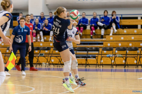 Enea Energetyk Poznań - Silesia Volley Mysłowice  Foto: lepszyPOZNAN.pl/Piotr Rychter