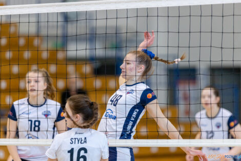 Enea Energetyk Poznań - Silesia Volley Mysłowice  Foto: lepszyPOZNAN.pl/Piotr Rychter