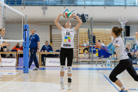 Enea Energetyk Poznań - Silesia Volley Mysłowice  Foto: lepszyPOZNAN.pl/Piotr Rychter